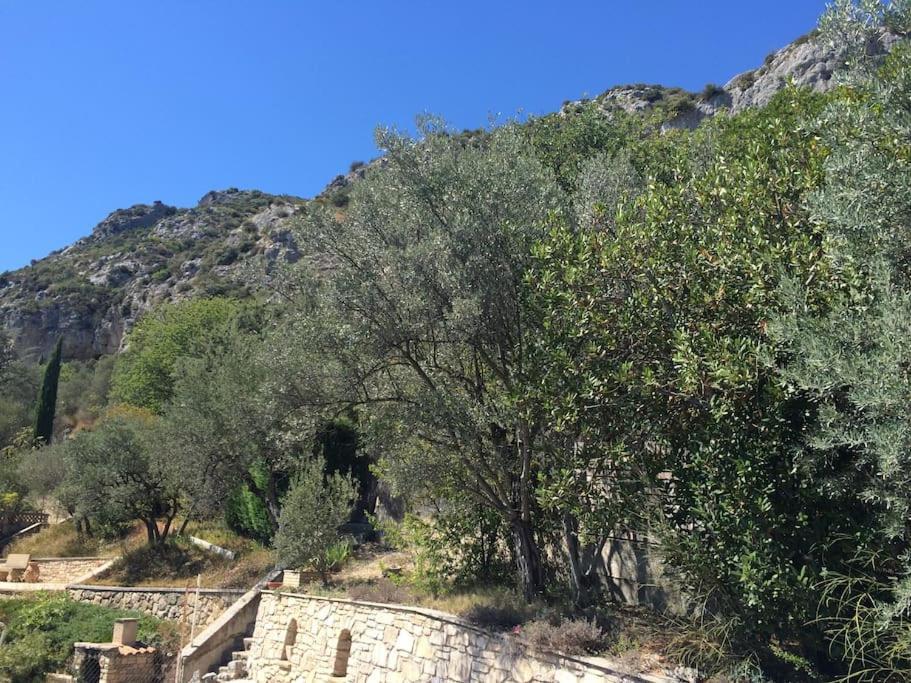 Appartement Sur La Colline Avec Acces Piscine Volx Exterior foto